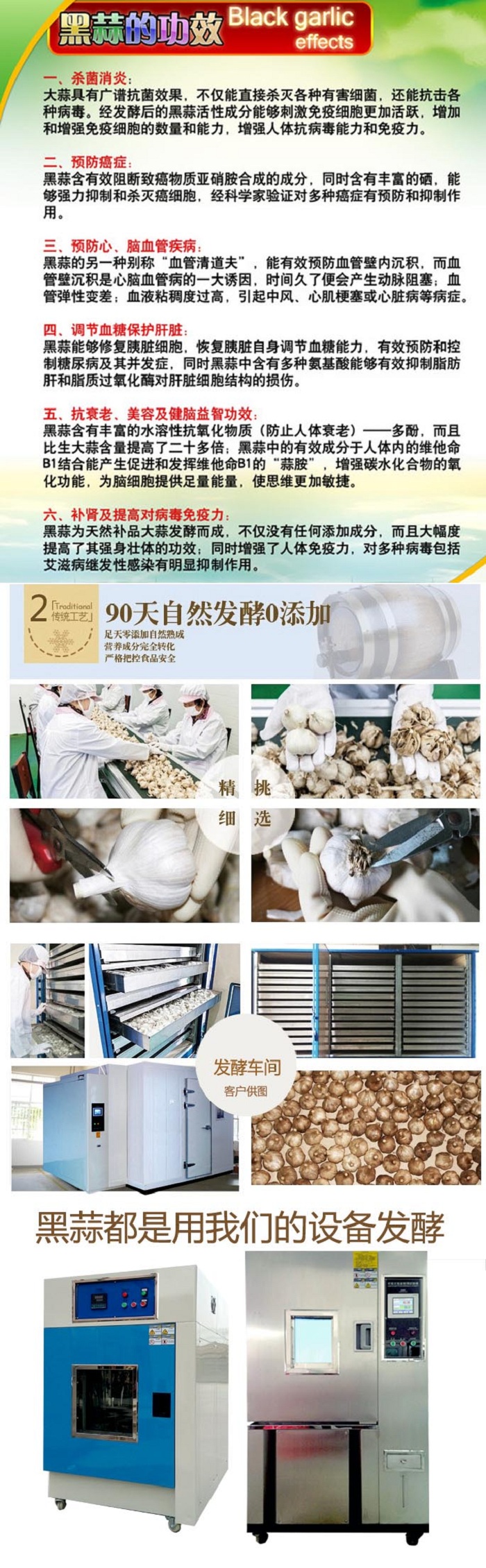 黑蒜發酵機 